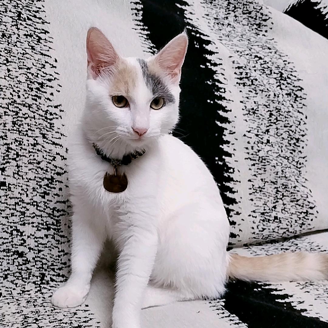 🚬᭄ཽ࿆爺門·鎬钱࿐