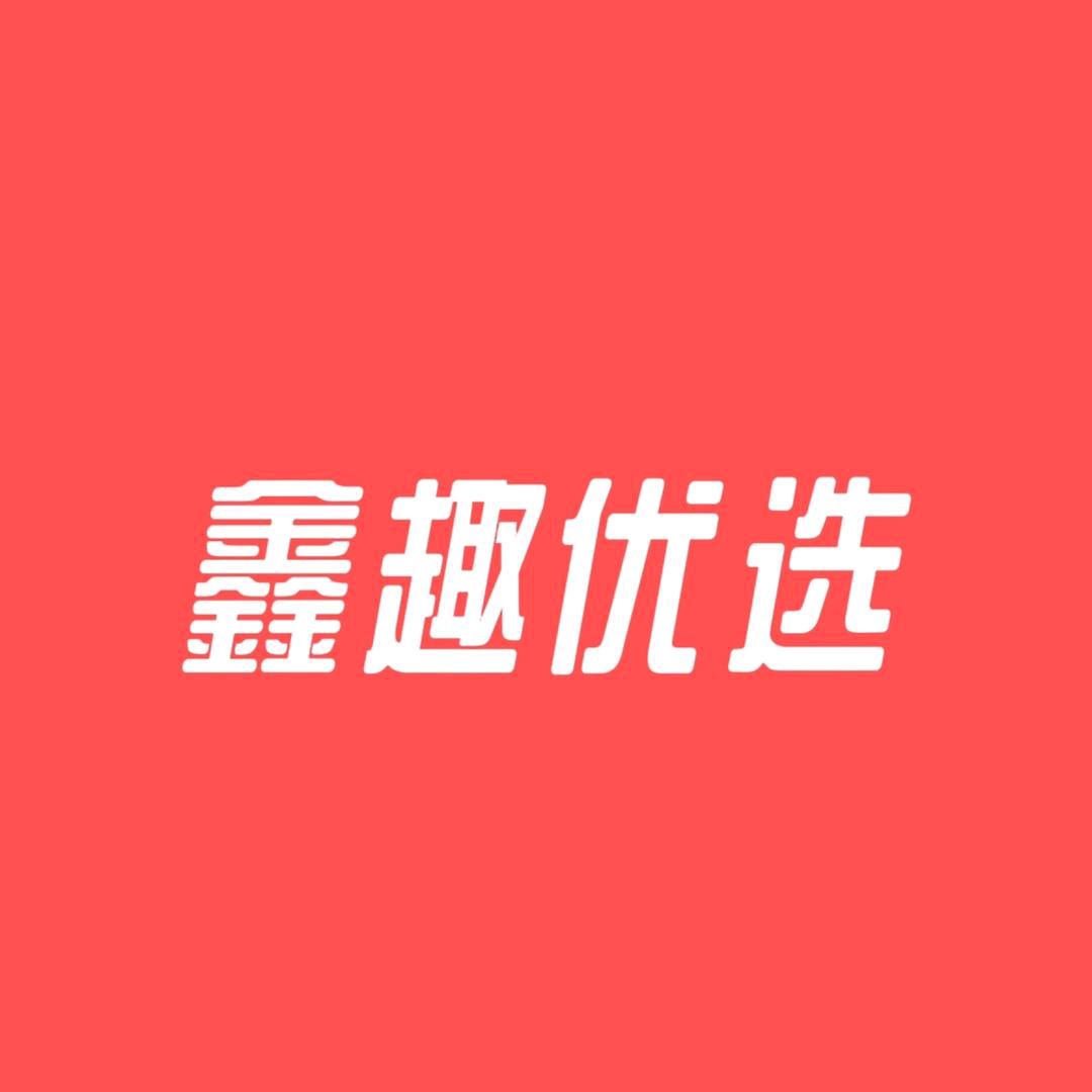 鑫趣益智积木