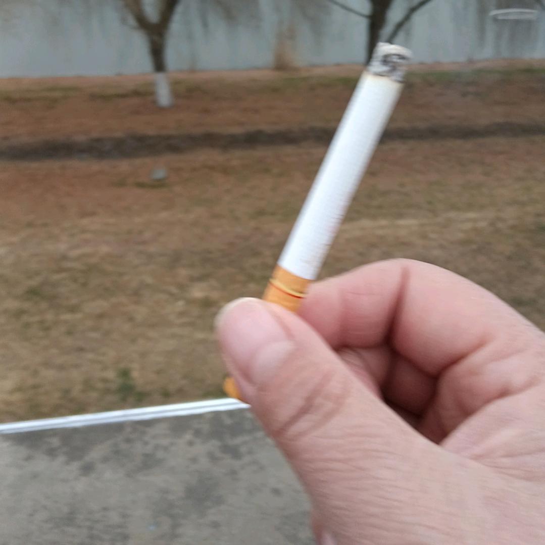 静