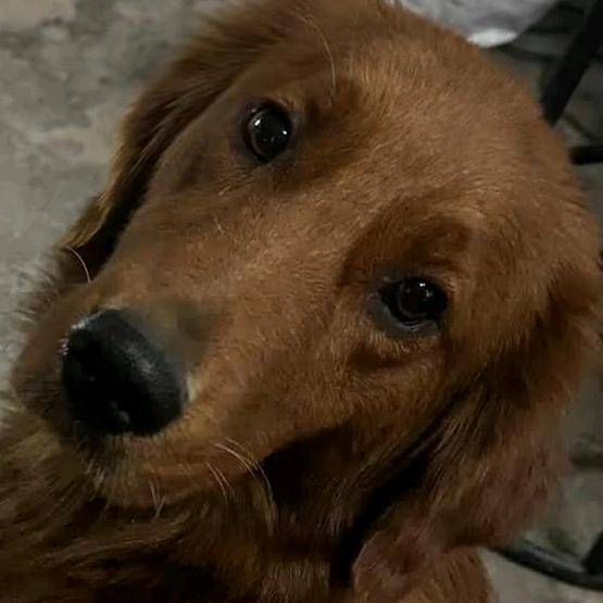 少校