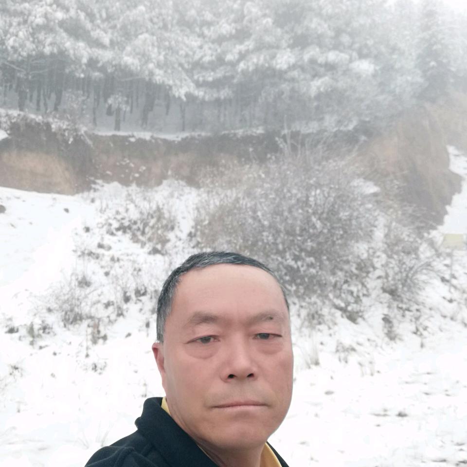 早起的鸟儿