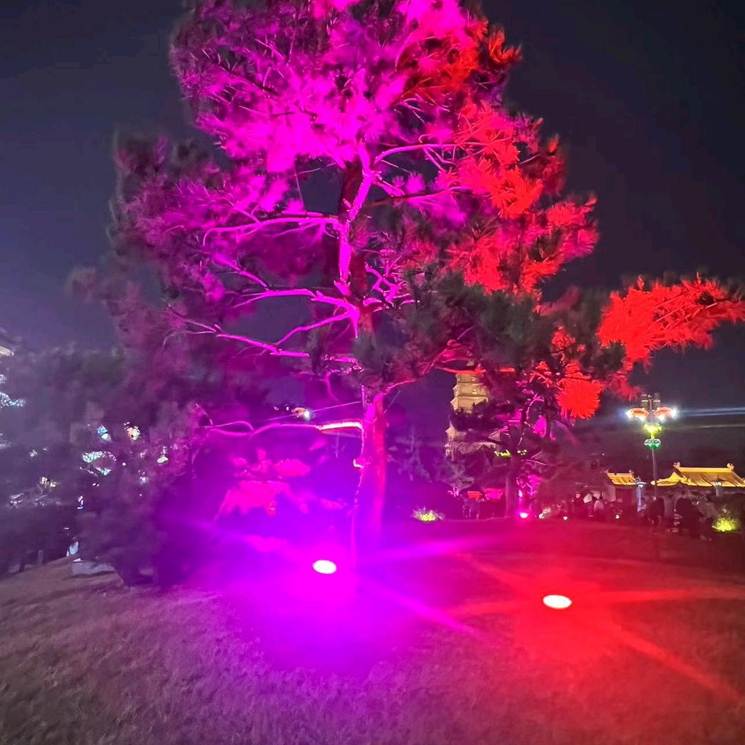 小Cc❤️