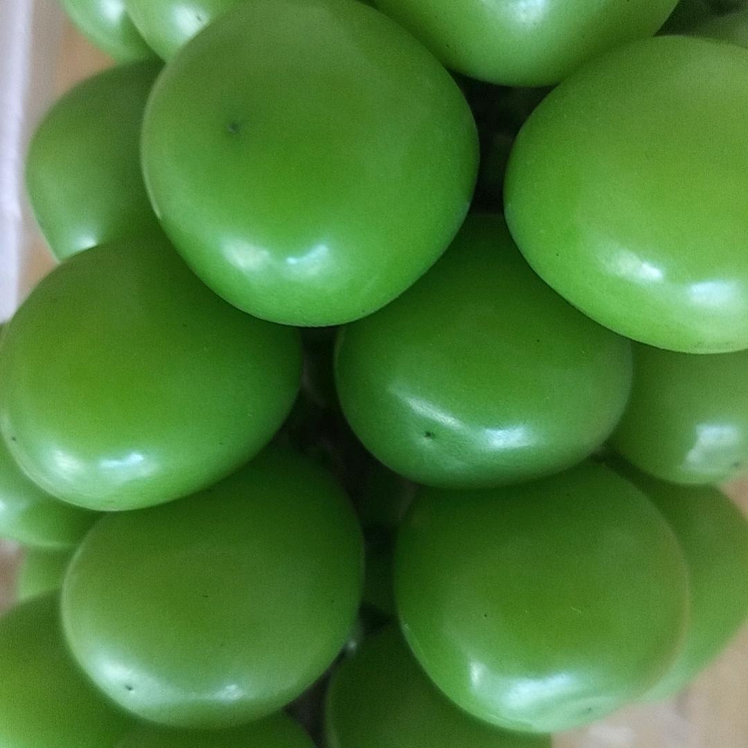 朵姐