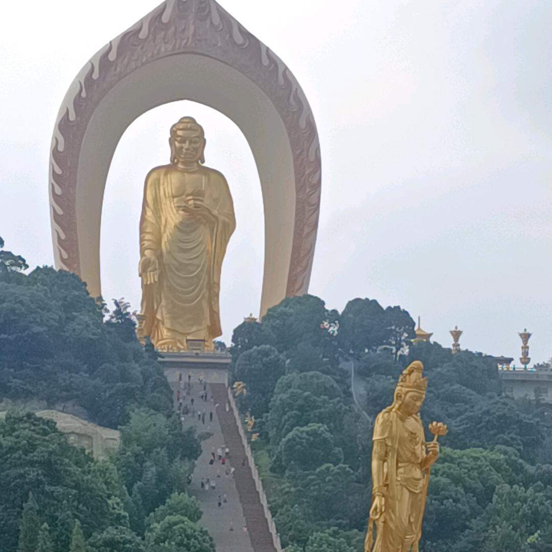 @微向阳光