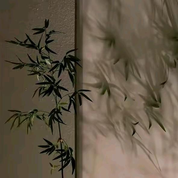 桃花颜古风耳饰