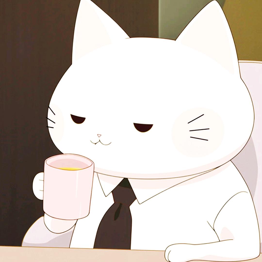 顺天意，承因果