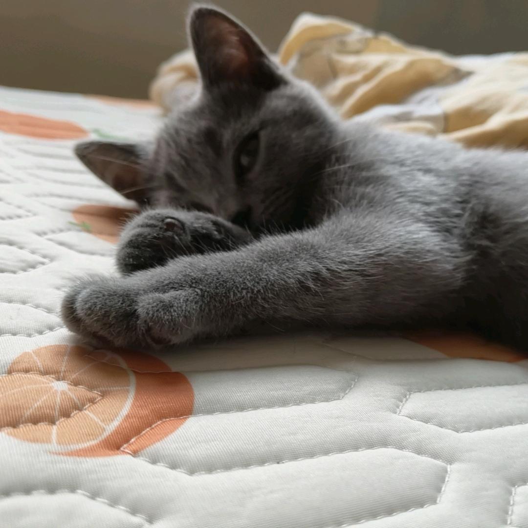 小舞小6️⃣小九