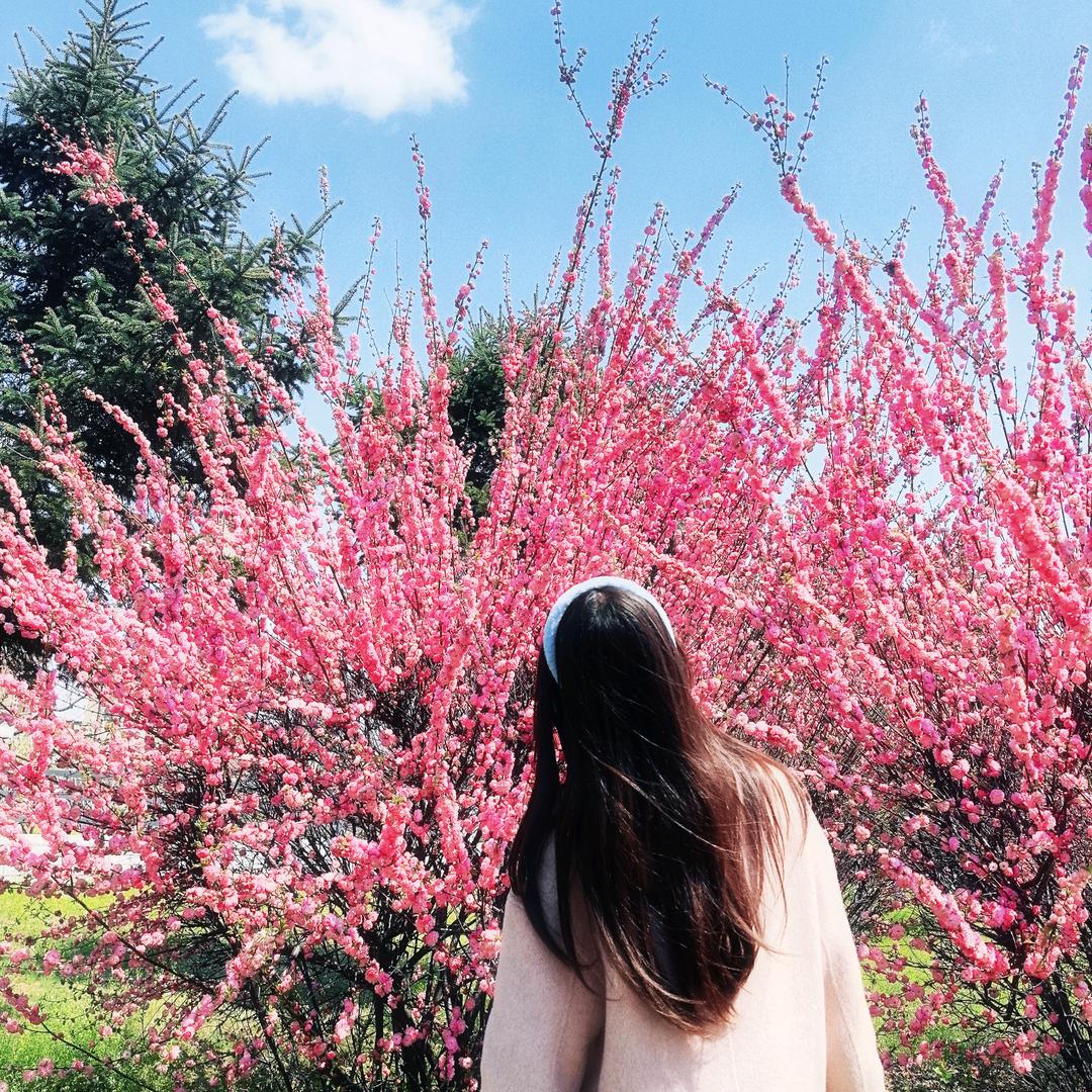 冲冲熊🌱🎈