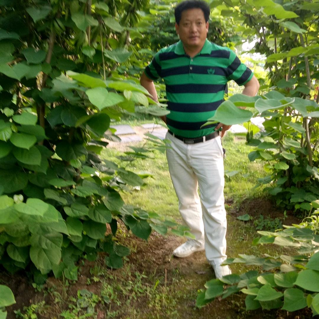 雄哥装修
