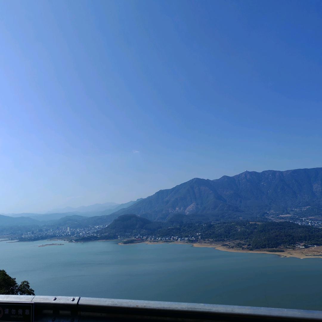 靖芯