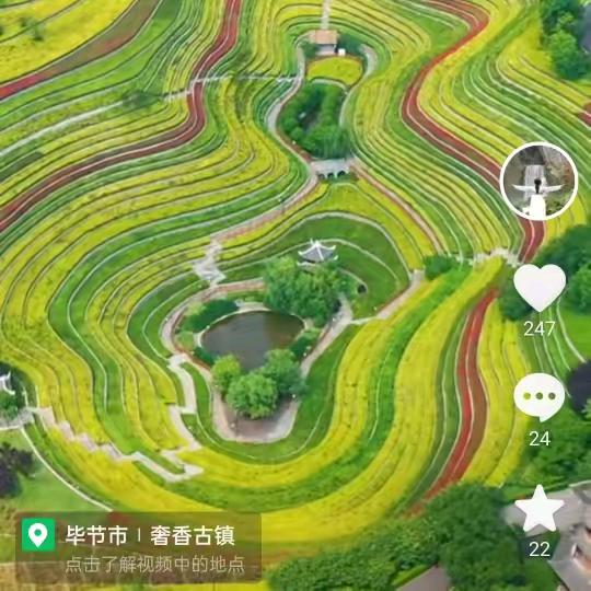 用户129单身一过人