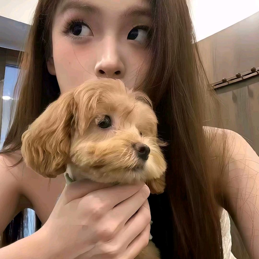 角落的猫