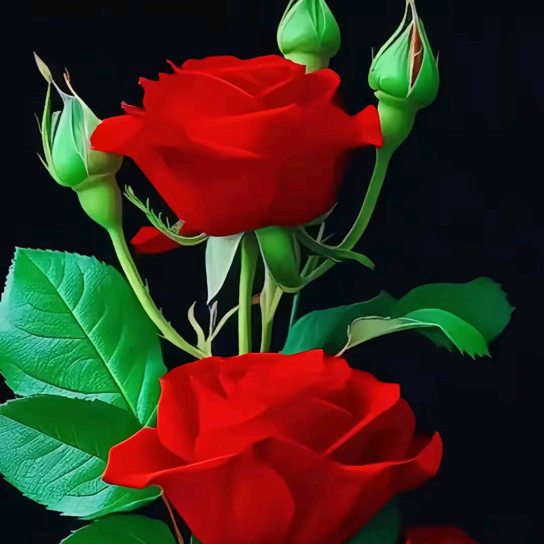花开花落