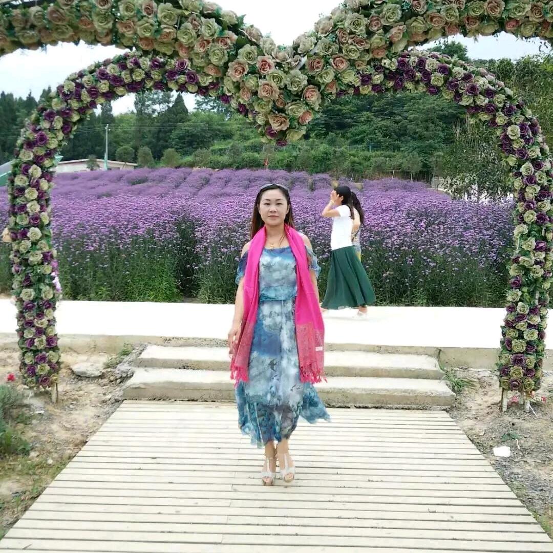 丹枝繁