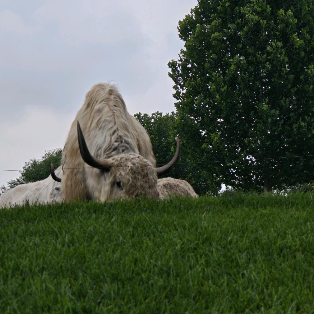 嘻嘻哈哈~(¯▽¯~)~