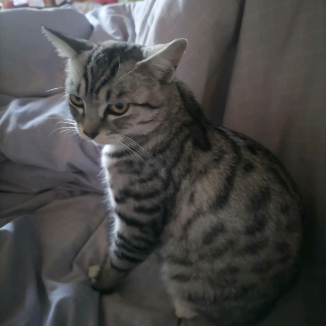 也村妈妈