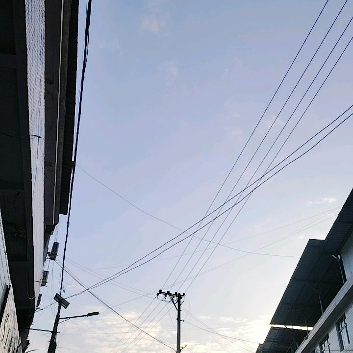 沁心月