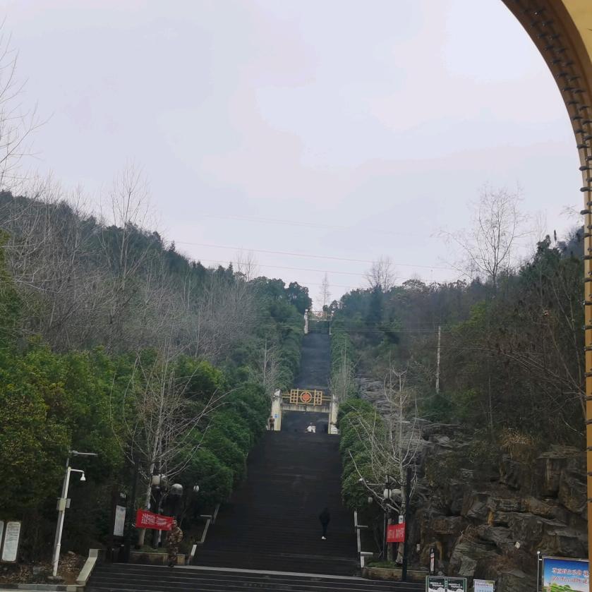 鱼锅锅
