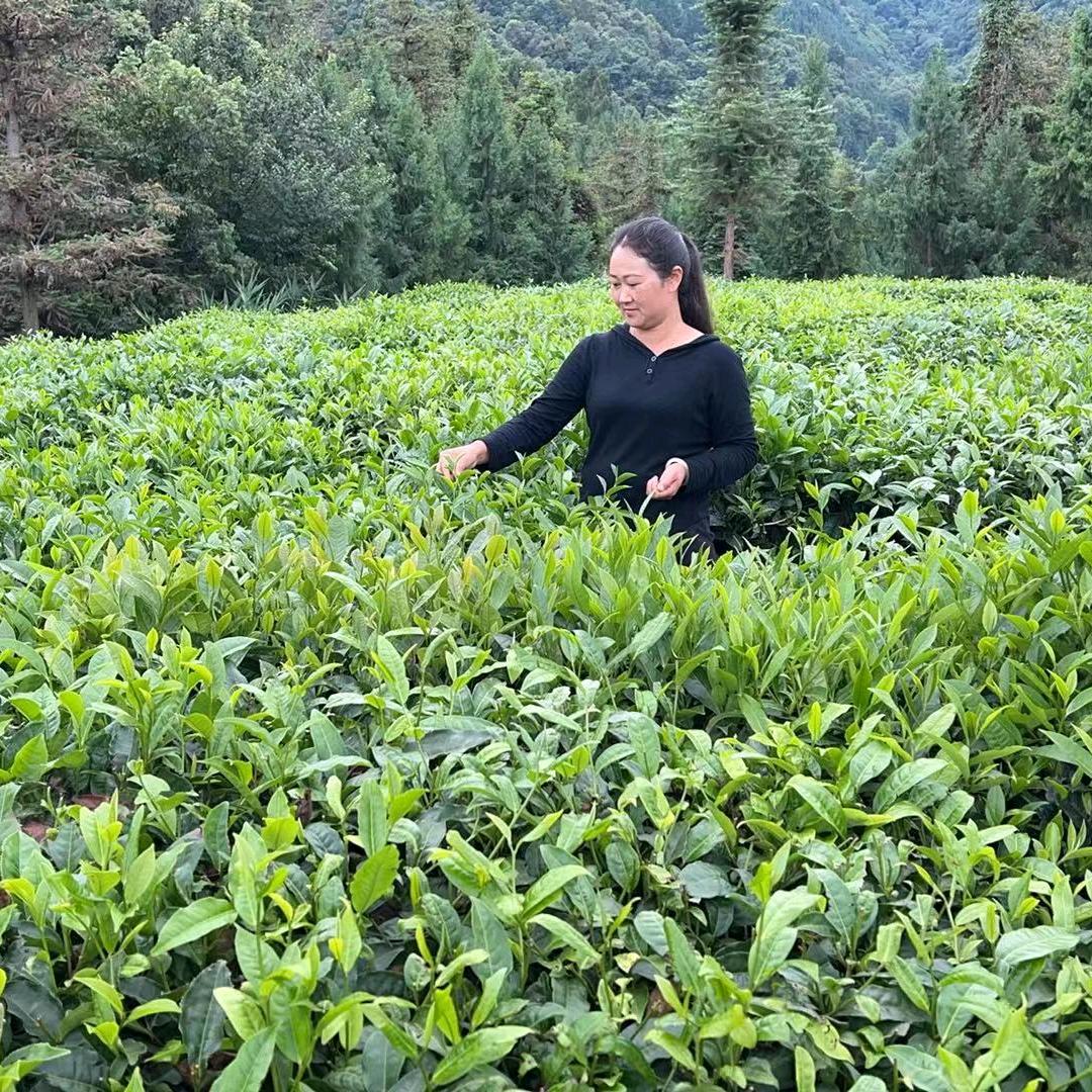 董小妹茶叶坊