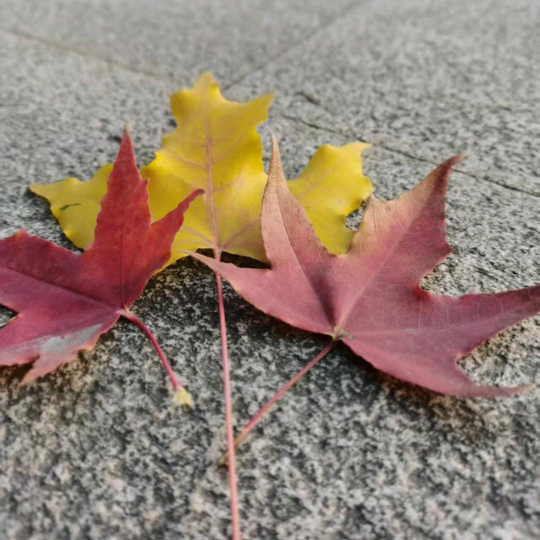 💕同甘共苦💞