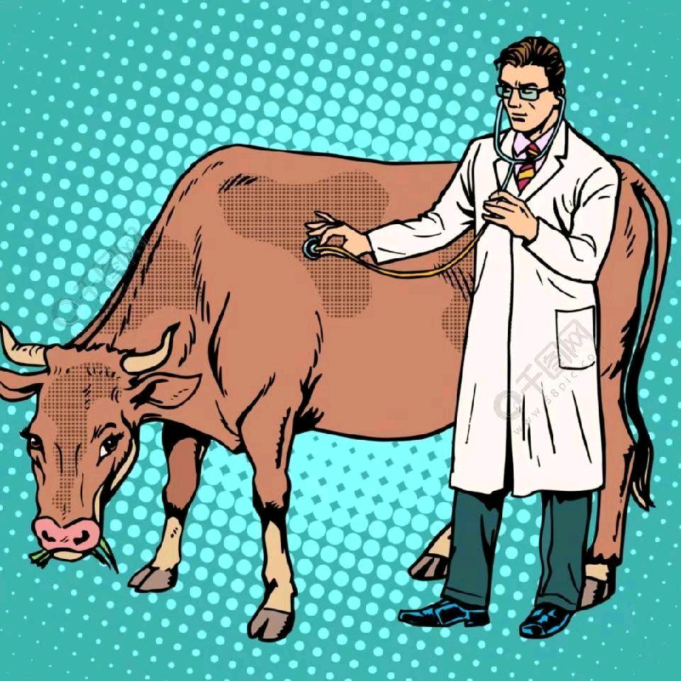 何兽医(养殖技术交流）