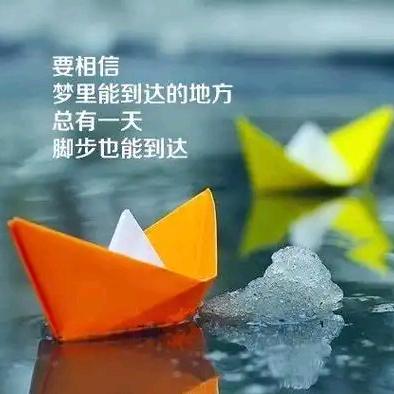 活在当下《厨窗有好物》