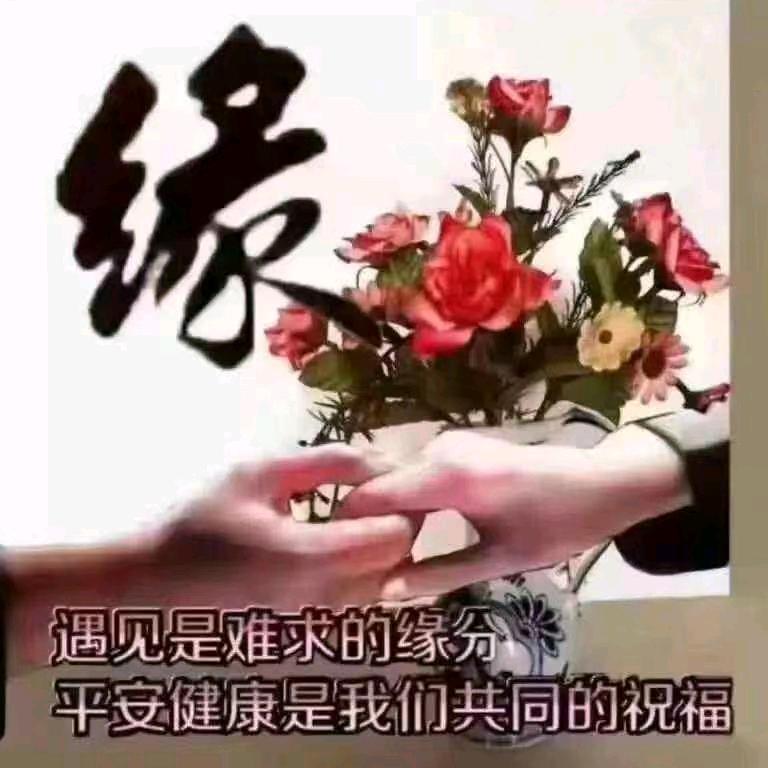 泰哥