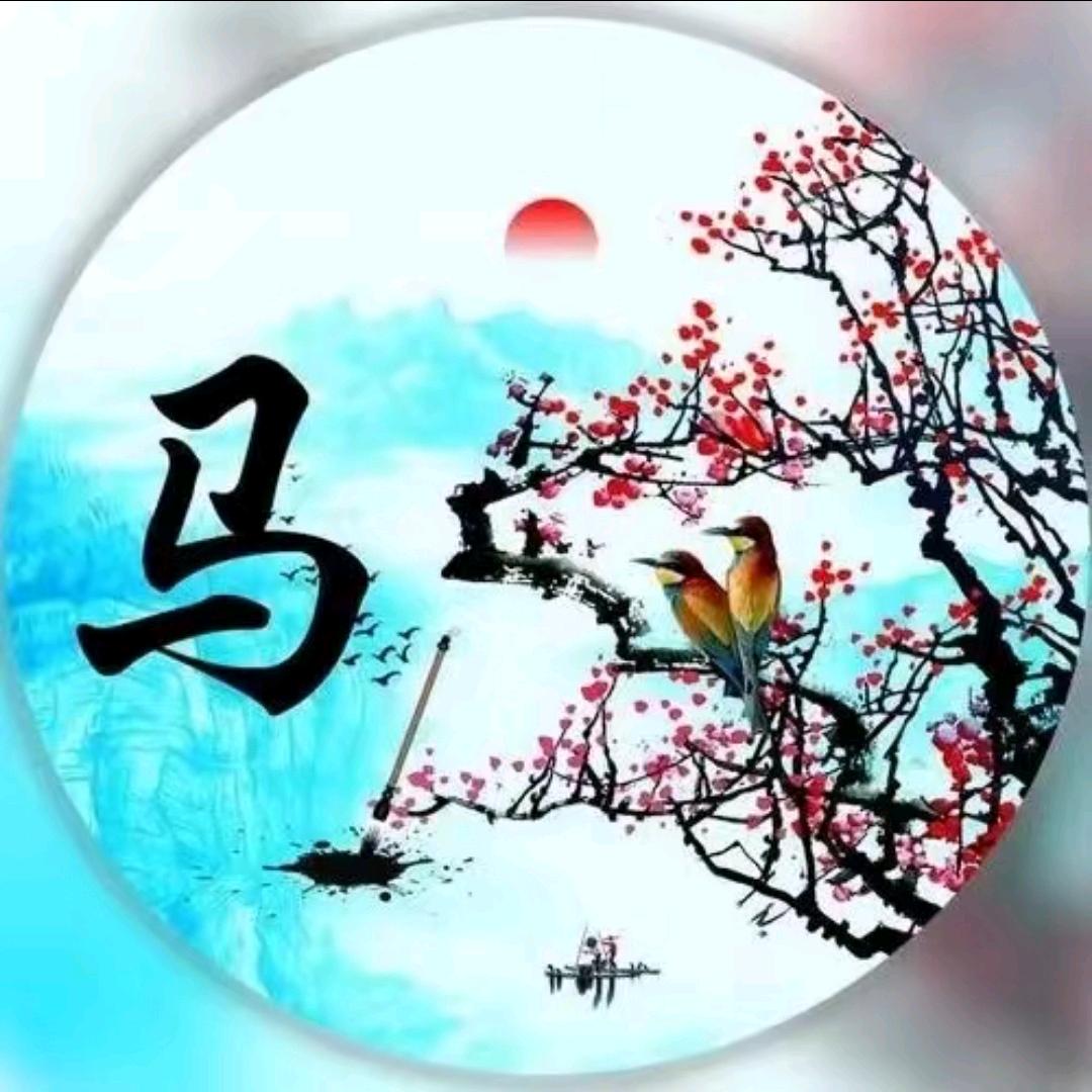 马司🕊️郎追❤️