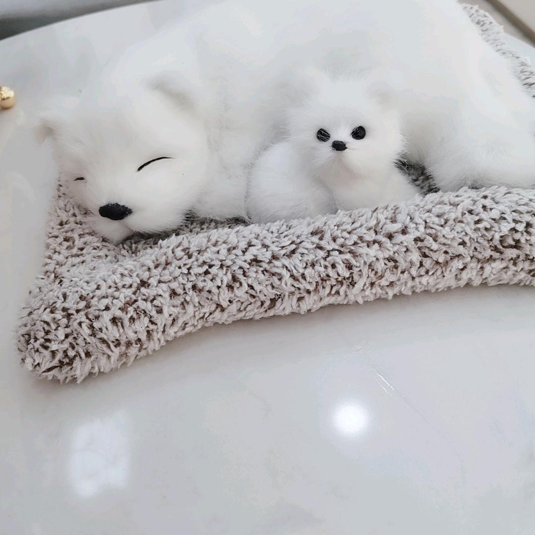 小玲abc