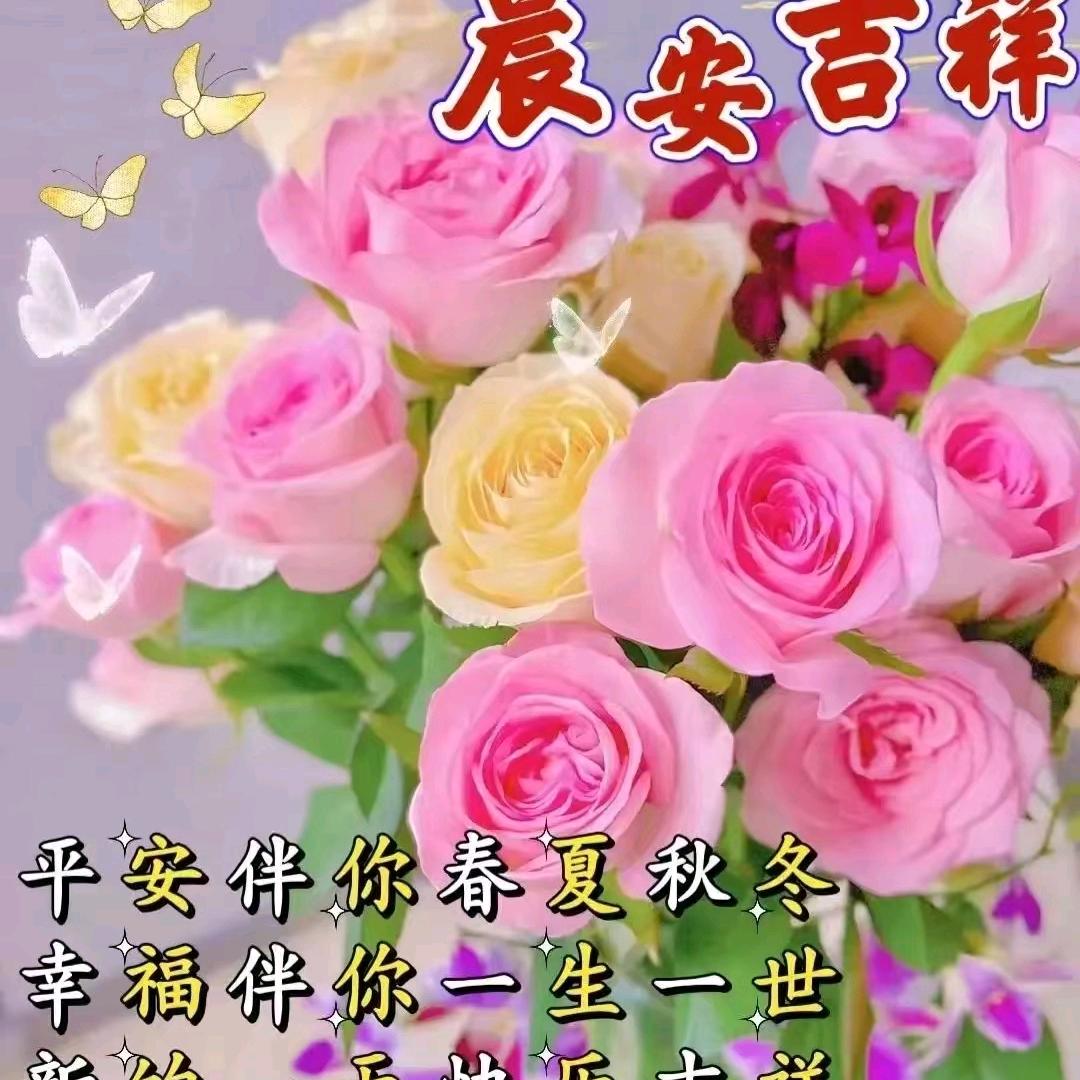 岁月静好🌅