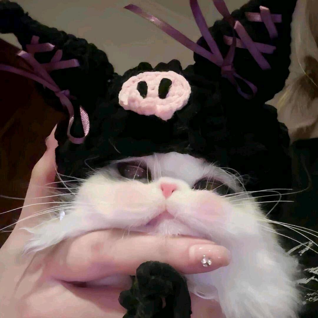 丹丹姐