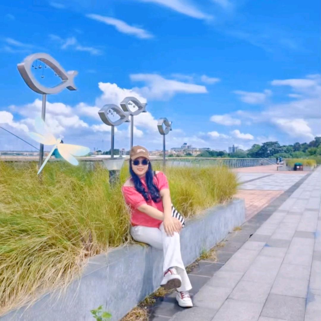 树宝❤