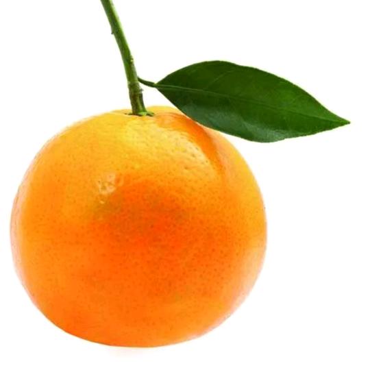 小桔子