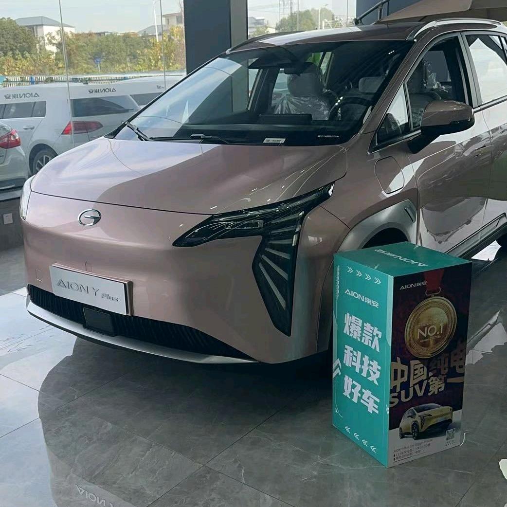 九江九瑞埃安小叶