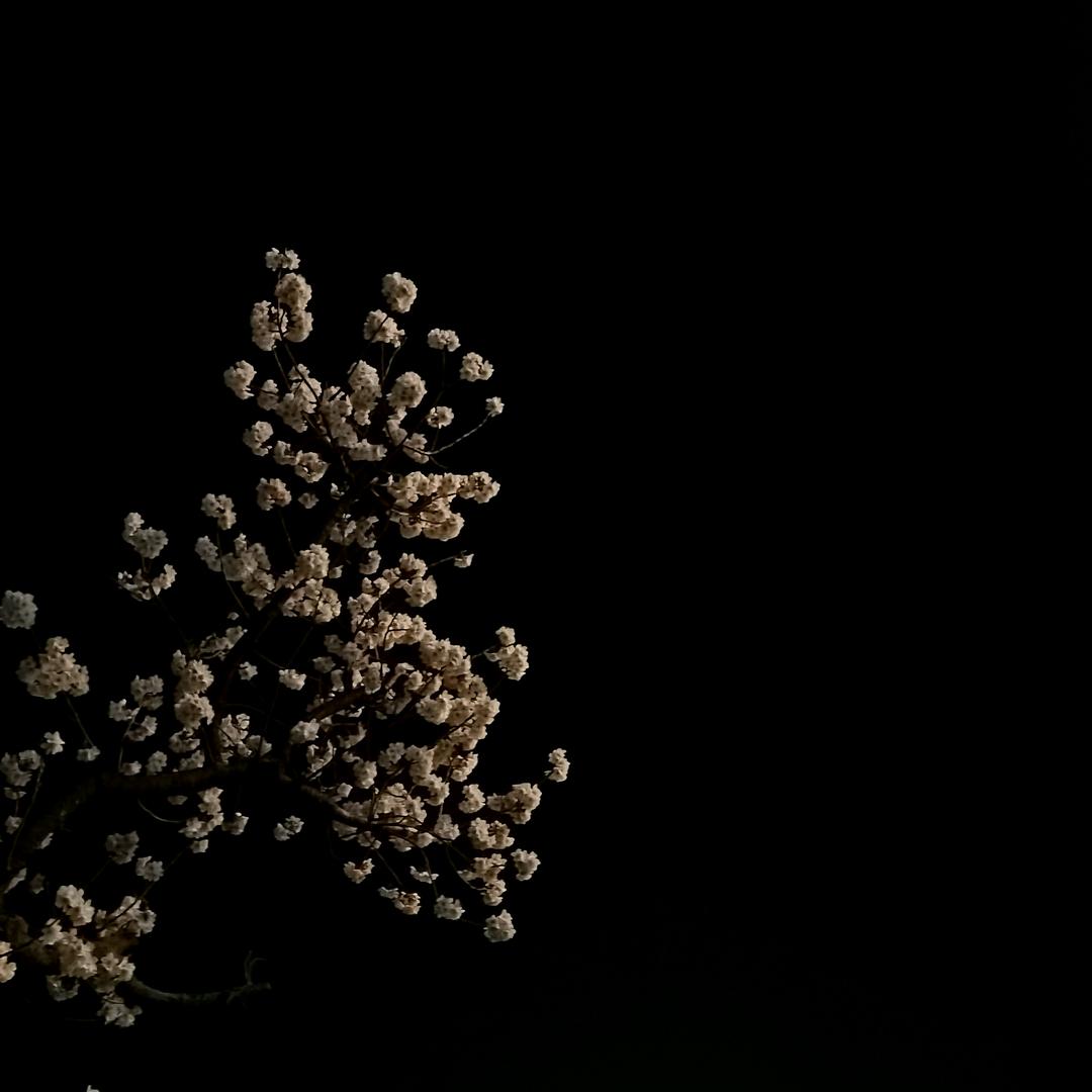 可是真的很喜欢有线耳机诶