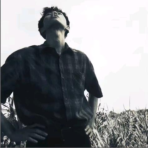 不好骗的咸蛋黄