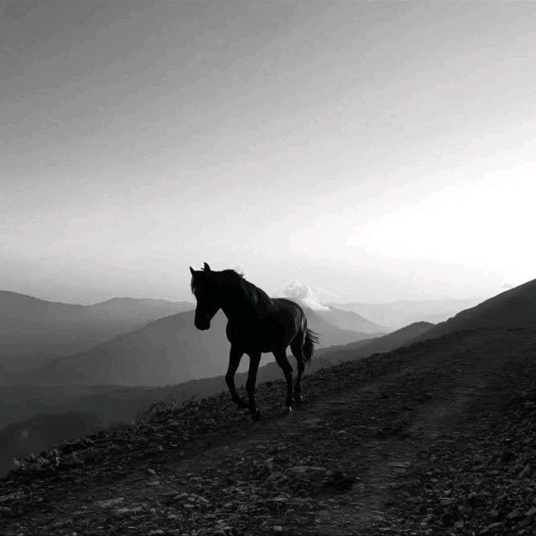 @19746