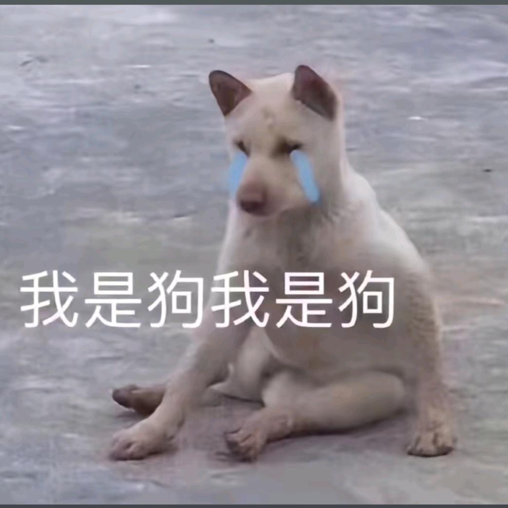 我是只狗