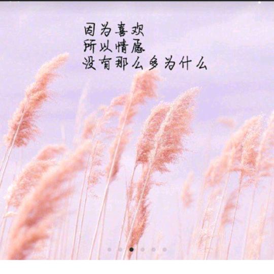 顺其自然