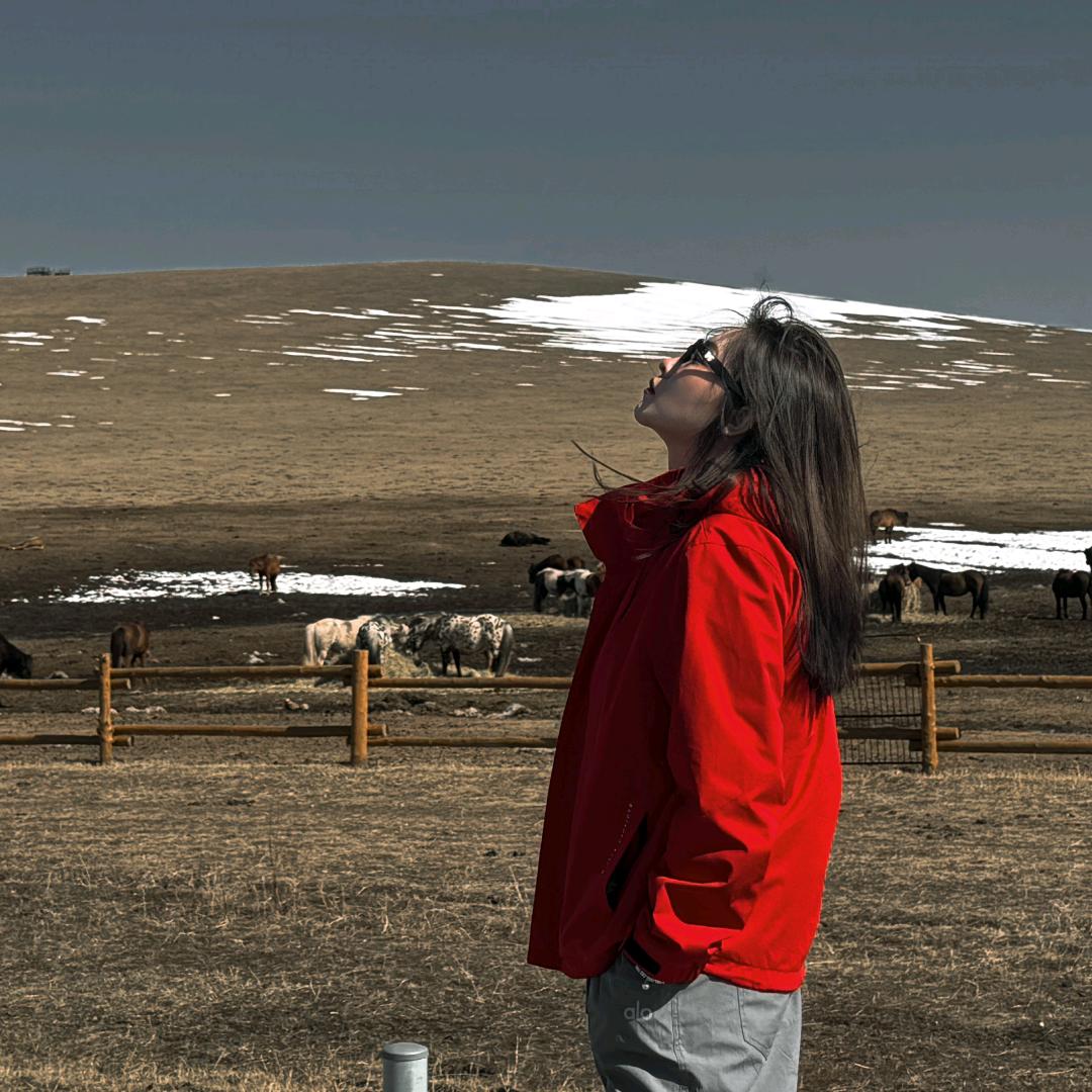 海拉尔婚礼画师～铁锤🔨