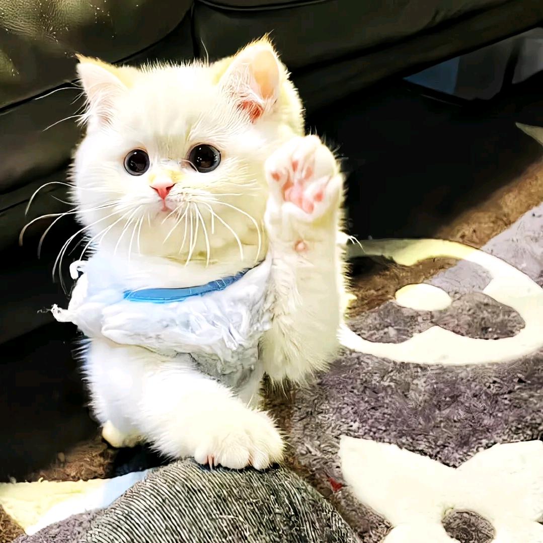 遇你与你余你