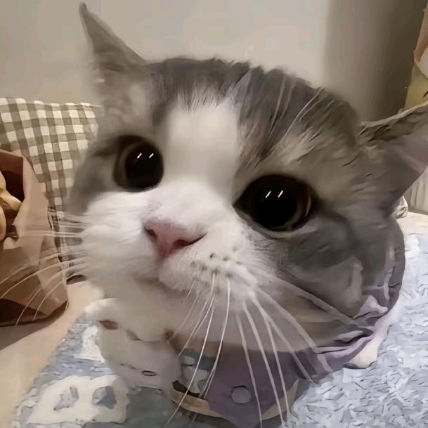 用心记