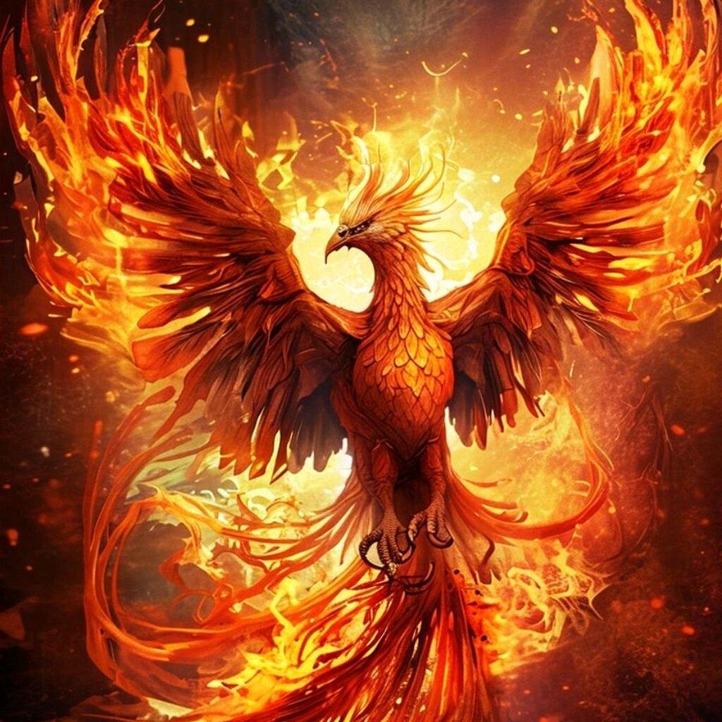 黄凤归位迎富贵@