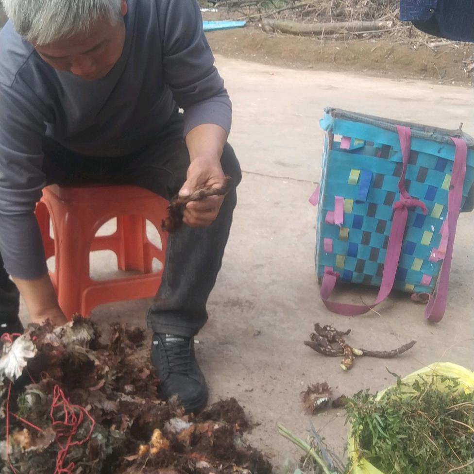 陈月军只买草草约