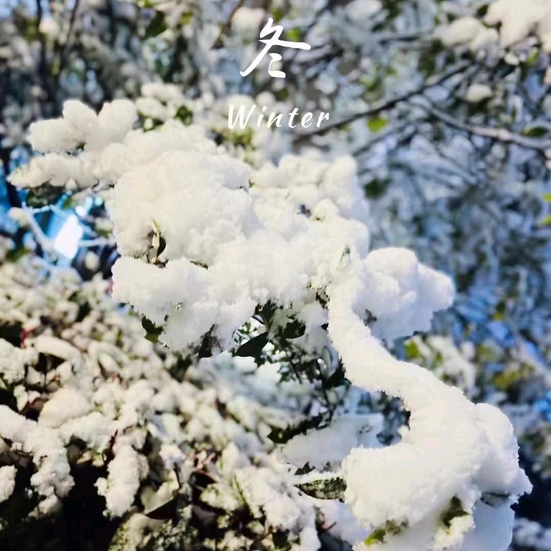 雪花一朵