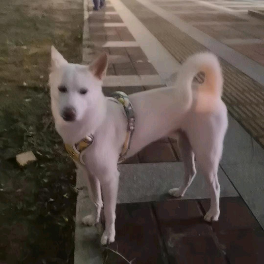 兰馨