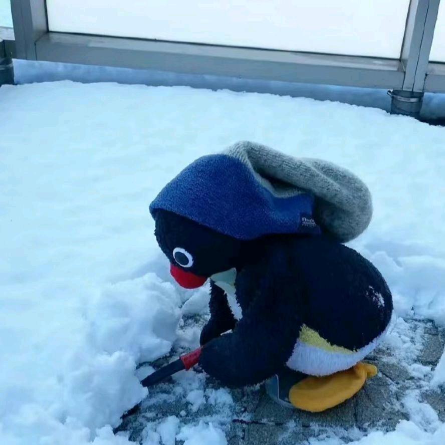 睡了了了了了