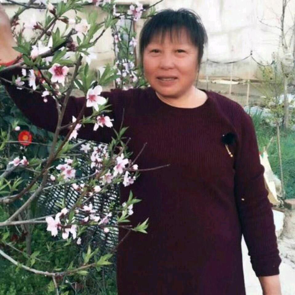 东山再起