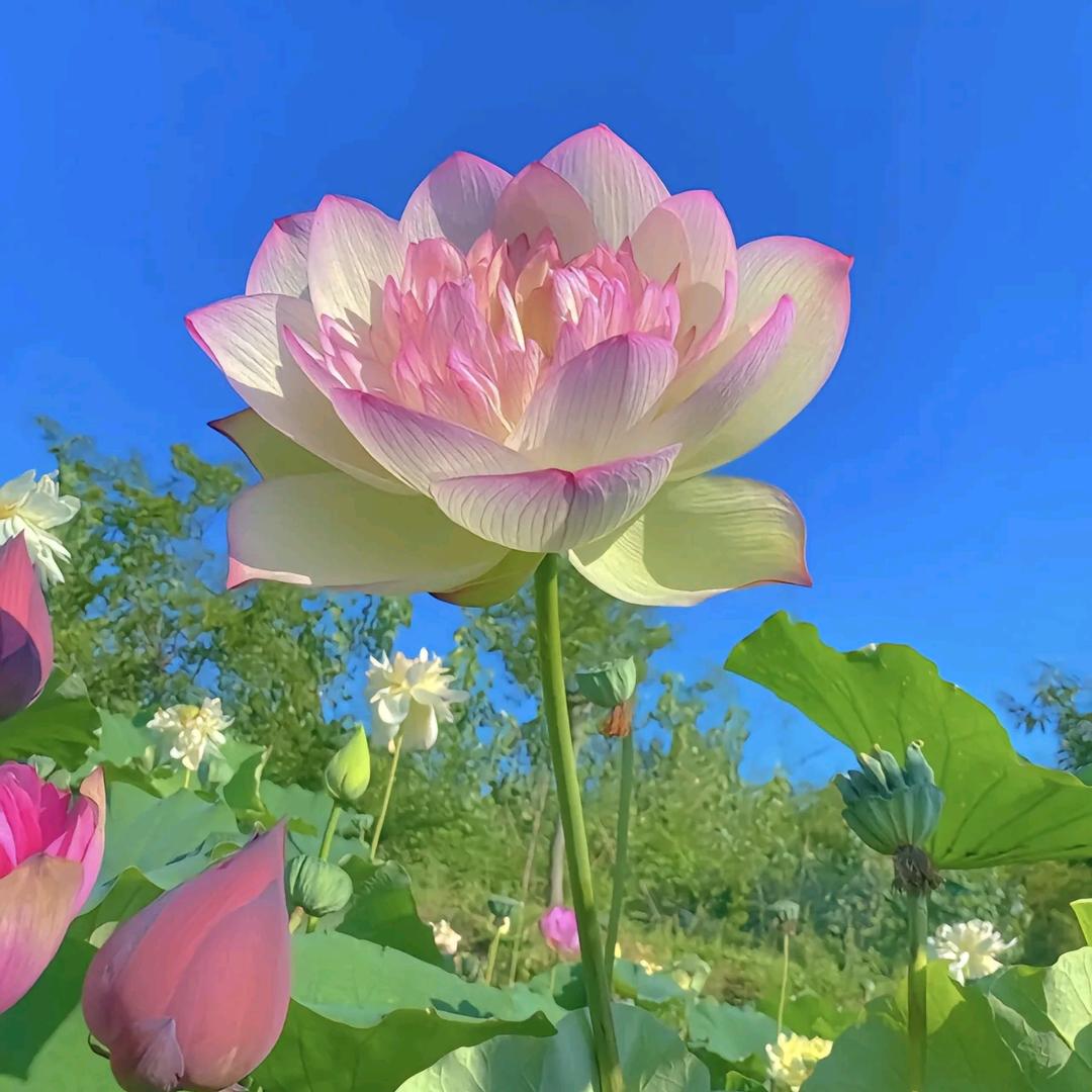 💞ঞ᭄微໊笑໊前行ഒᩚ࿐