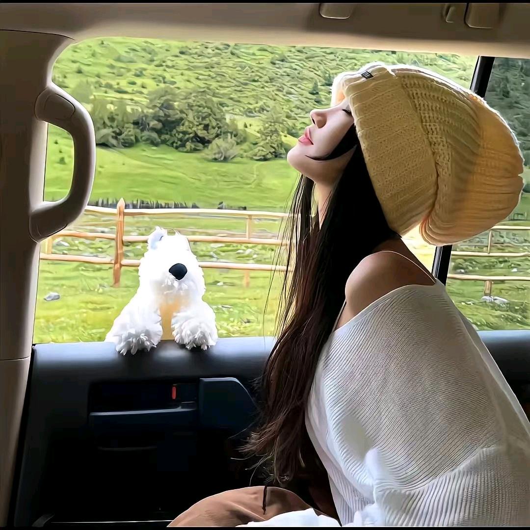 冷曦🍃